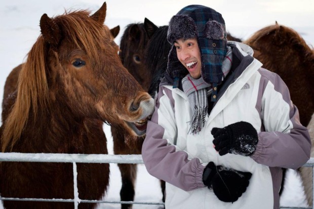 By renting a car, we were able to find some very majestic and hungry horses!