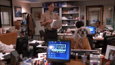 The 50 Best Study Abroad Memes Ive Ever Seen Photo The 50 Best Study Abroad Memes Ive Ever Seen