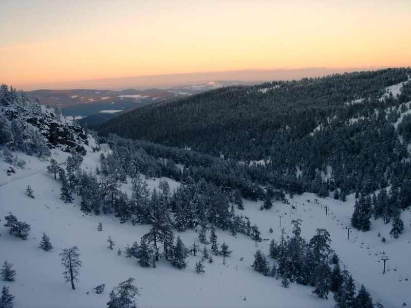 Kartalkaya